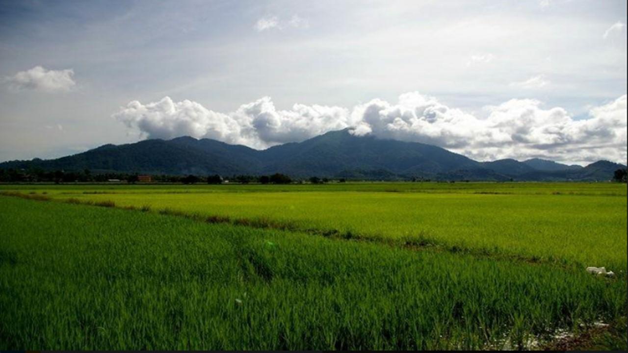 Barakah Homestay Алор-Стар Екстер'єр фото